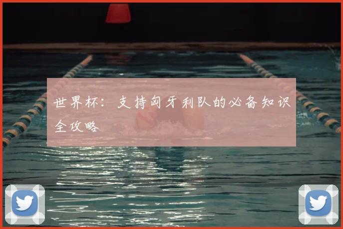 世界杯:支持匈牙利队的必备知识全攻略